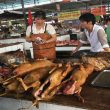 Dog Meat Photo