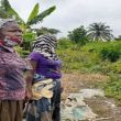 Small women farmers at Ibadan South West LGA, Oyo State inspecting the damage done to their plants due to lockdown occasioned by COVID-19