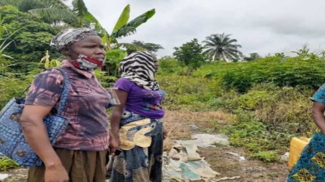 Small women farmers at Ibadan South West LGA, Oyo State inspecting the damage done to their plants due to lockdown occasioned by COVID-19