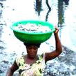 A woman carrying bowl full fish Photo