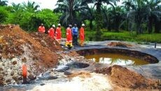 UNEP to Take Over Management of Ogoni Cleanup