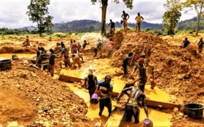 Illegal Gold Miners