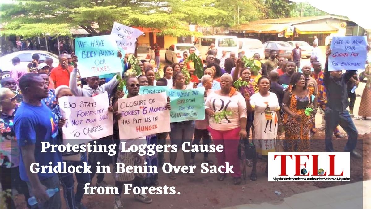 Protest by loggers in Edo Photo