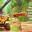 Timber