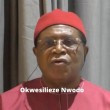 Southeast Presidency'll Bring Peace, Unity to Nigeria - Nwodo, Ex-PDP National Chairman