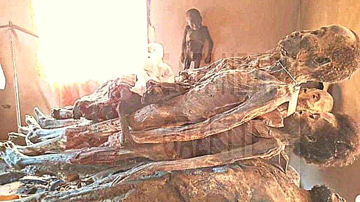 Shock find in Benin City as Police Discover Ritualists’ Den with 20 Mummified Bodies, Shrines