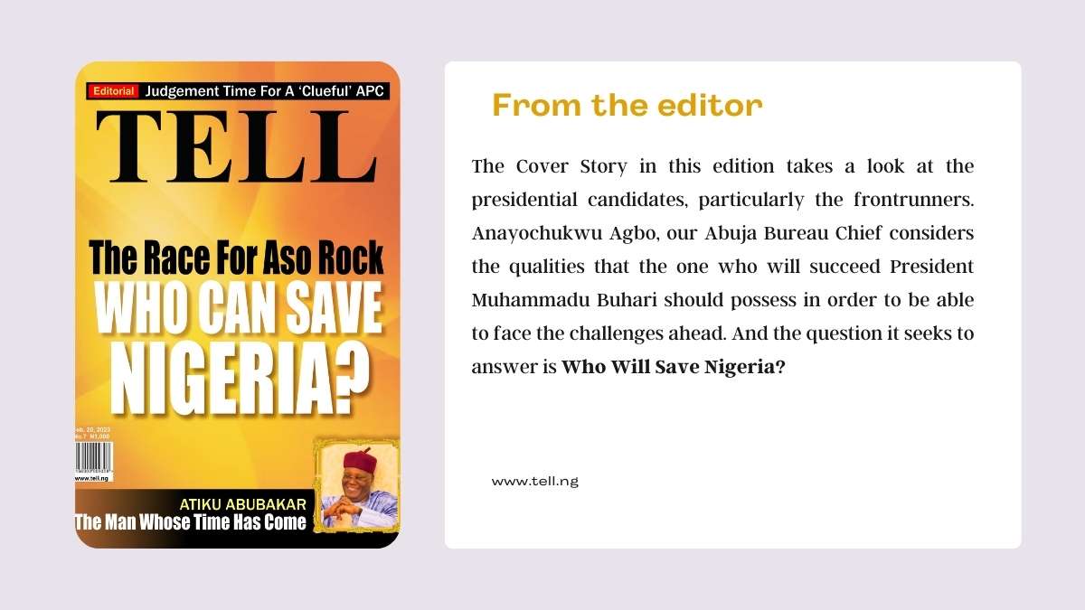 Who Will Save Nigeria?
