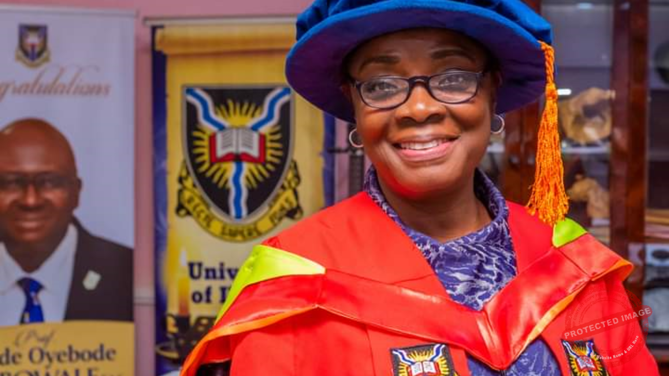 Professor Catherine Oluwatoyin Chovwen