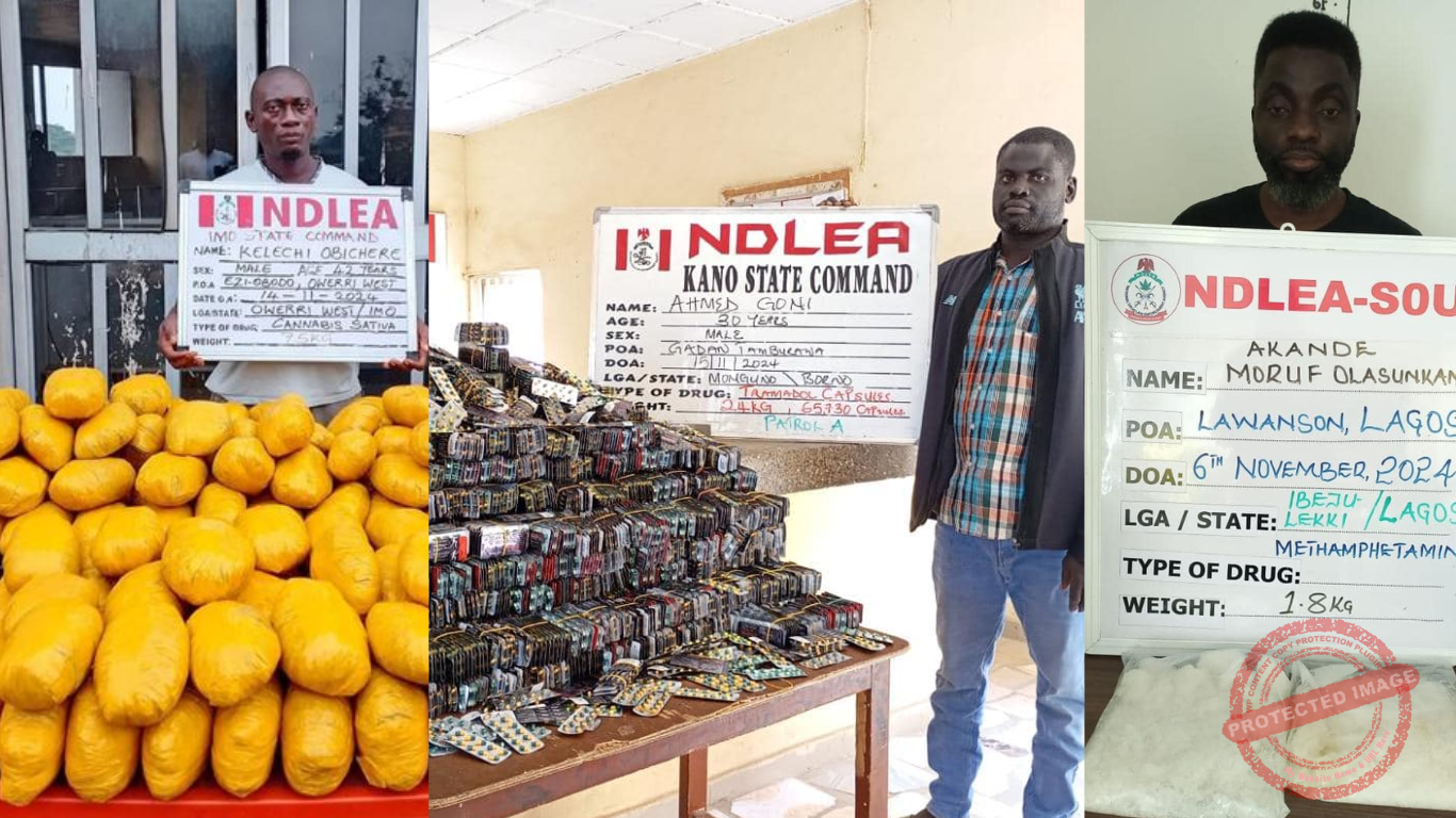 National Drug Law Enforcement Agency (NDLEA)