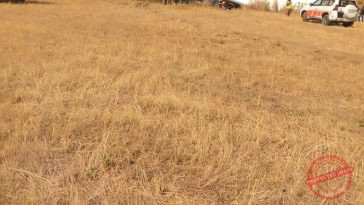 An Allied Air Cargo aircraft with registration number 5N-JRT, and with five individuals on board, on Wednesday crash-landed at the Nnamdi