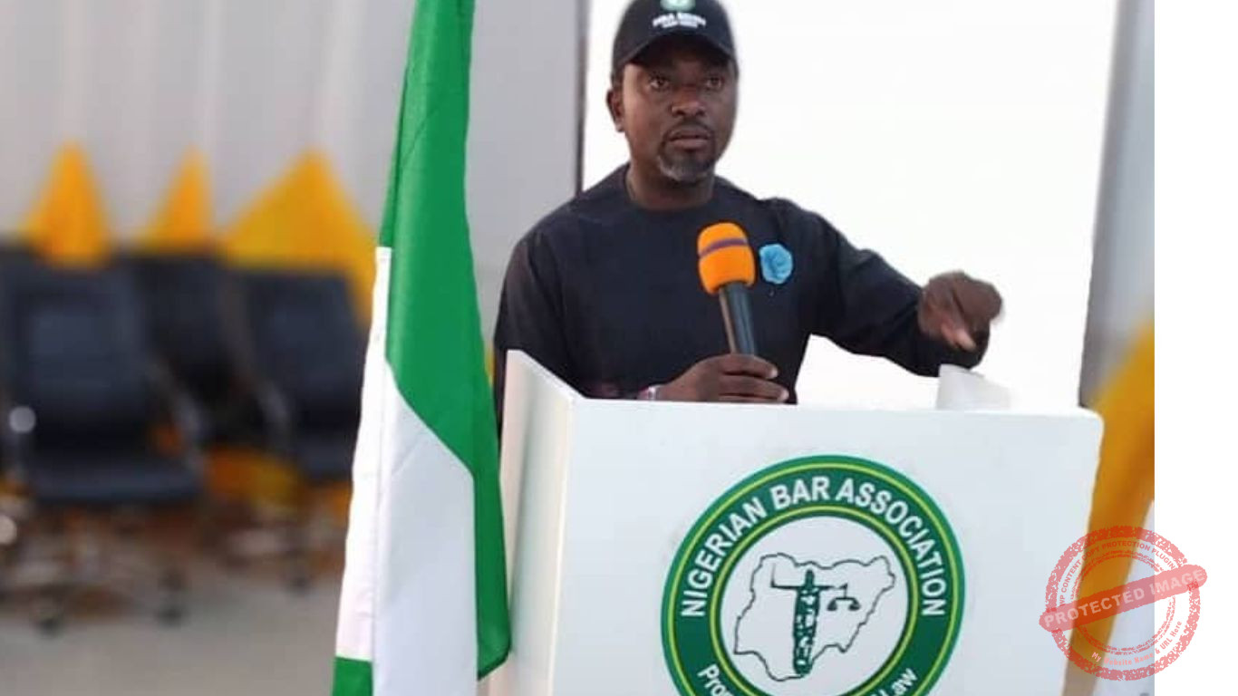 Suspension of LG Chairmen: NBA-Benin Calls for Reversal, Wants Attackers of Iyamu, former AG Brought to Book