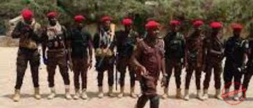 NUF Condemns Killing of Vigilantes in Anambra