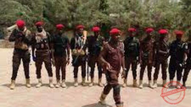 NUF Condemns Killing of Vigilantes in Anambra