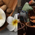 Nigeria Suspends Raw Shea Exports to Capture $6.5bn Global Market and Empower Women Farmers