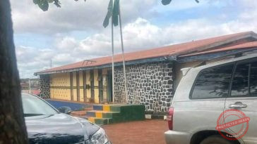 Ladrón de Lagos exige un rescate de 50.000 libras esterlinas por un teléfono robado y luego acepta cobrar 