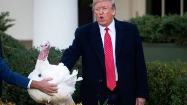 annual Thanksgiving Day Thursday, November 27